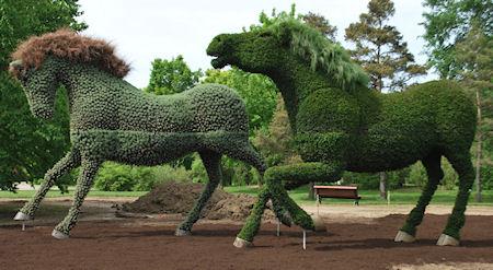 Jaw-Dropping Plant Sculptures From Mosaiculture International 2013