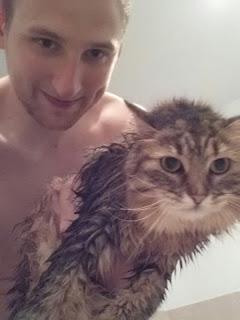 Wet Kitties!