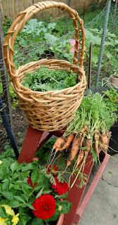 Organic Garden Update and Kale Chips Recipe!