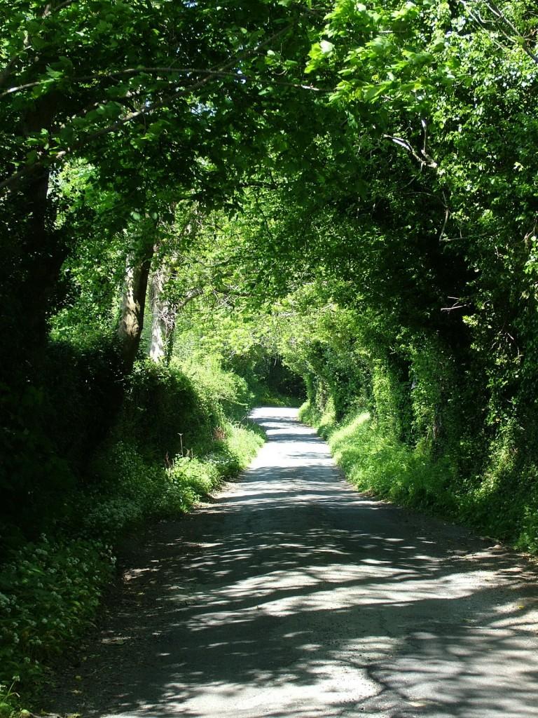 Our tour of the House of Waterford Crystal in Ireland green country road - near Oonagh Bridge - Enniskerry - Wicklow - Ireland