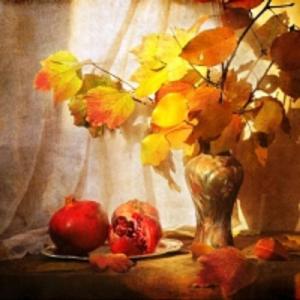 My Enlightening Musings Of The Early Day 1193255-200