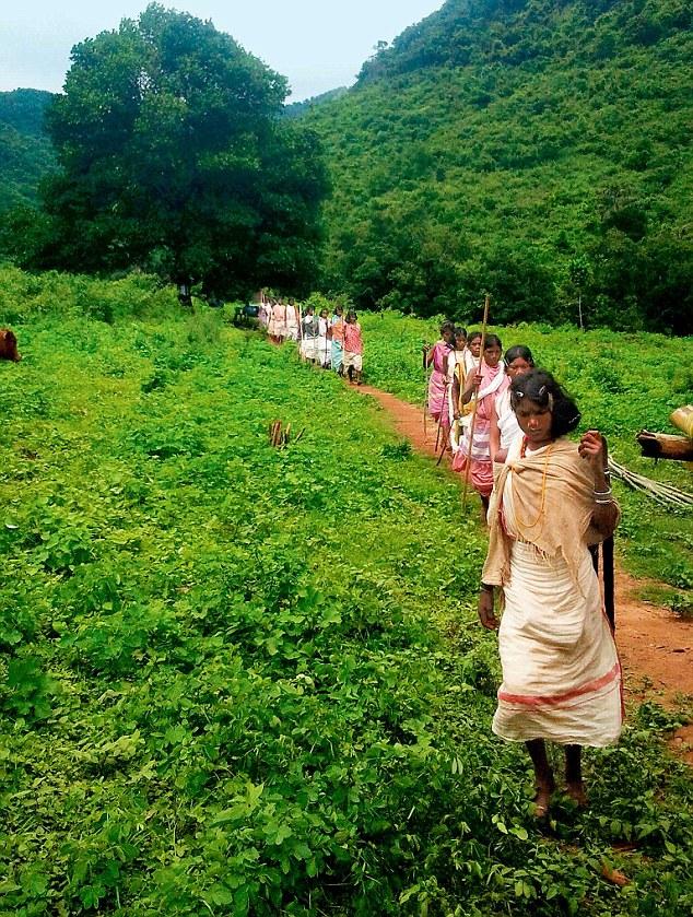 Protest: Dongaria tribe members march to a gram sabha in Serkapedi village