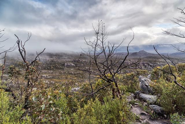 trees and clouds below mount rosea