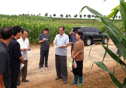 DPRK Premier Visits Farms in South Hwanghae Province DPRK Premier Pak Pong Ju (2nd R) issues instructions during a tour of a cooperative farm in South Hwanghae Province (Photo: Rodong Sinmun).