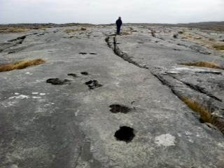 BURREN NATIONAL PARK, IRELAND: Guest Post by Marianne Wallace