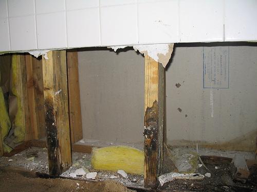 Mold Mold