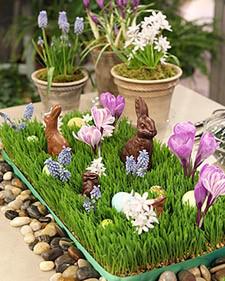 Easter Decorations and my love of Chocolate Eggs Easter Decorations and my love of Chocolate Eggs