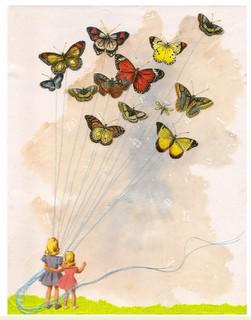 Butterfly Beautiful Butterfly Beautiful