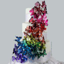 Butterfly Beautiful Butterfly Beautiful