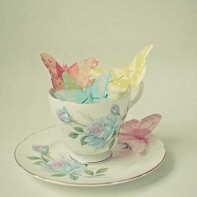 Butterfly Beautiful Butterfly Beautiful