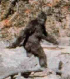 Frame 352 from the film, alleged to depict a f... Frame 352 from the film, alleged to depict a f...
