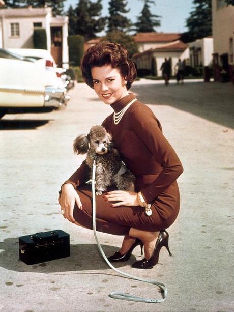 Natalie Wood & dogs