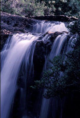 Tasmania, Part II: Cradle Mountain Tasmania, Part II: Cradle Mountain