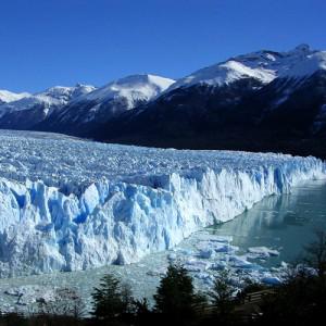 Calafate 300x300 Argentinas top 5 holiday destinations chosen by locals