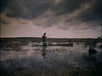Wind Across the Everglades (Nicholas Ray & Budd Schulberg, 1958)