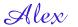 Book Review: Sisterhood Everlasting by Ann Brashares Alex