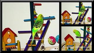 DIY Playgym for Parakeet or similar birds