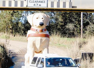  Giant guide dog