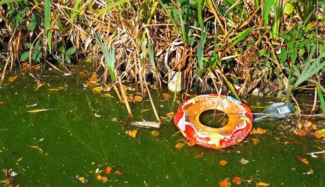 Stagnant Water To Be Content Not Knowing