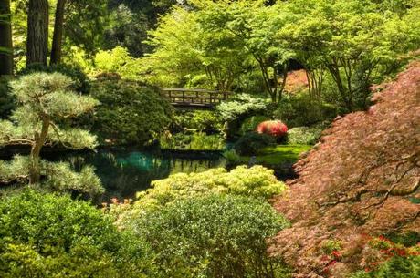 Influenced by Shinto, Buddhist, and Taoist philosophies, the natural backdrop at the Japanese Garden in Portland, OR, is an artfully arranged tableau.