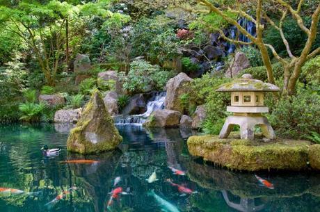 A waterfall cascades in the Strolling Pond Garden, reminiscent of recreational sites the wealthy created on their estates in ancient Japan. Water, the life-giving force, and stone, the “bones” of a landscape, are two of the essential elements of a Japanese garden.