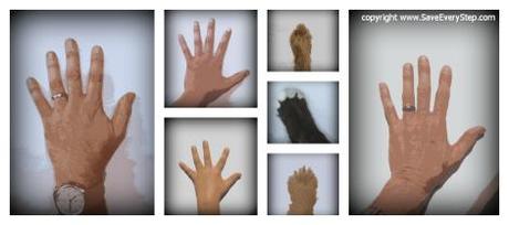 Me and Mine, July family pawtrait family stories