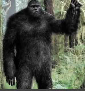 $10 Million Bounty Could All Come Down To Bigfoot Poo? (Video)