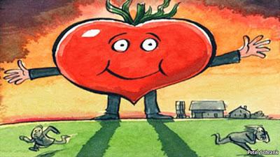 Are Genetically-Modified Foods Bad ?