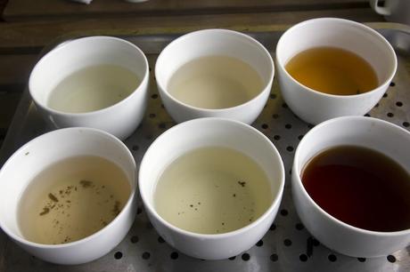 A Visual Comparison of the 6 Major Categories of Tea