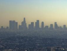 Rooftop Panels Turn Suburbs into Power Providers, Research Shows