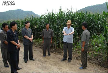 DPRK Premier Visits Cooperative Farms in S. P’yo’ngan DPRK Cabinet Premier Pak Pong Ju (2nd R) talks with cooperative farm managers during a visit to a cooperative farm in South P'yo'ngan Province (Photo: KCNA).