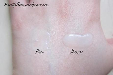 Innisfree Camellia Magic Styling Shampoo and Rinse Innisfree Camelia Magic Styling Haircare (2)