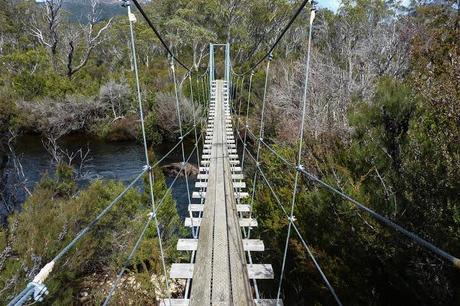 suspension bridge over narcissus river