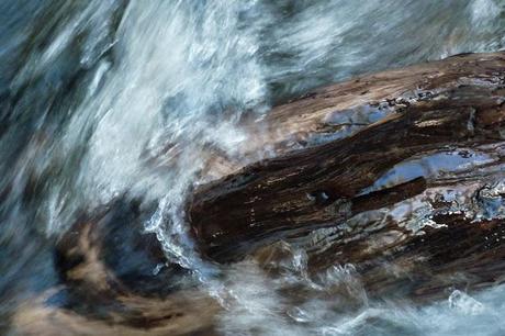 water passing over log in stream
