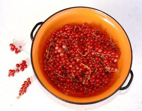 RED CURRANT JELLY