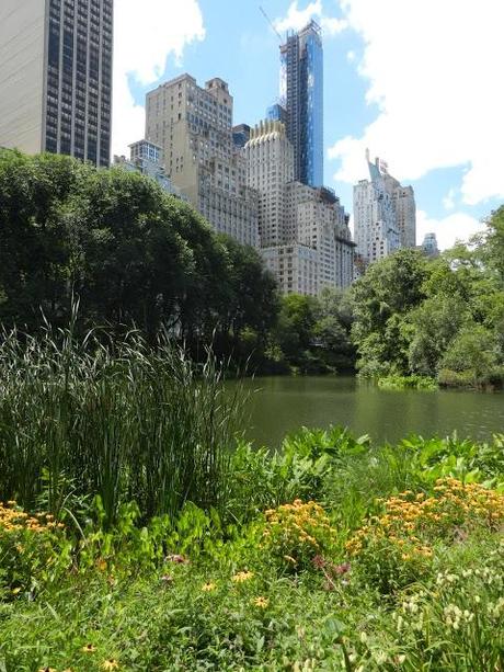 Sunday in the Park with Jo