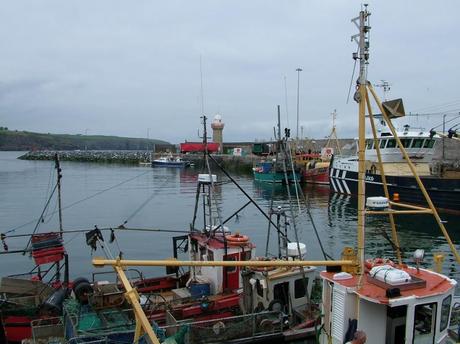 A Visit to Dunmore East, Ireland Had Us Feeling At Home main wharf in harbor at dunmore east - county waterford - ireland