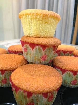 Pandan Spongecake Pandan Spongecake