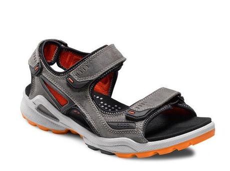 Gear Closet: ECCO Biom Chiappo Sandals