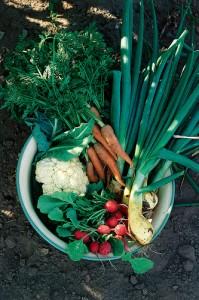 Root vegetables and leafy greens can pick up toxins in the soil.
