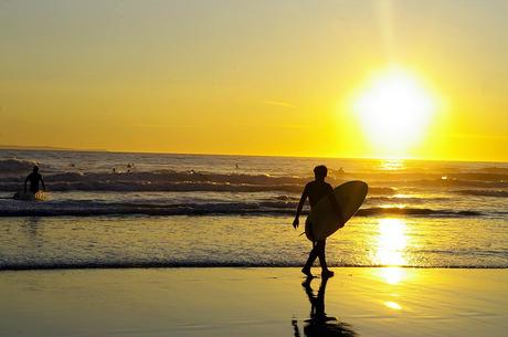 Surf up a storm in Devon this Summer Picture