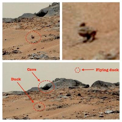 Duck-Like Creature Found On Mars By NASA Mars Rover (Video & Photo)