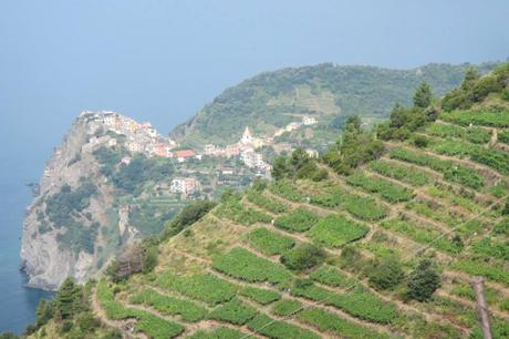 Stunning Coastlines of Cinque Terre Stunning Coastlines of Cinque Terre