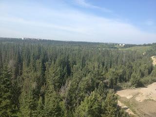 Race Report: 5 Peaks Fish Creek (Sport) Race Report: 5 Peaks Fish Creek (Sport)