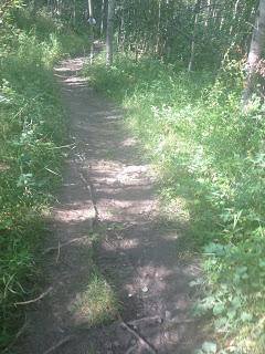 Race Report: 5 Peaks Fish Creek (Sport) Race Report: 5 Peaks Fish Creek (Sport)