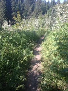 Race Report: 5 Peaks Fish Creek (Sport) Race Report: 5 Peaks Fish Creek (Sport)