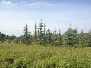 Race Report: 5 Peaks Fish Creek (Sport) Race Report: 5 Peaks Fish Creek (Sport)