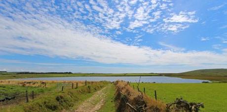 Two lakes, a wood and a meadow…a day out on Bodmin Moor Dozmary Pool