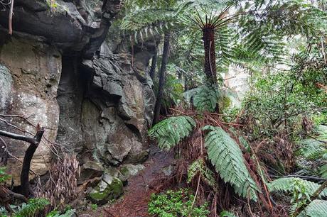 Rock walls - the Canyon rock walls in the canyon lorne