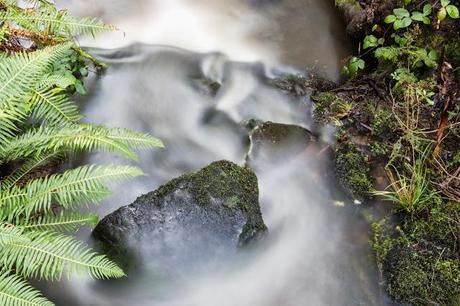 Henderson Creek henderson creek lorne